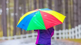 Monsoon 2026: How To Stay Active When Rain Disrupts Your Routine