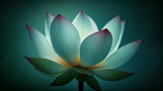 Sister Shivani's Wisdom: Forgiveness for Moms - Your Path to Inner Peace