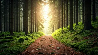 Improve Your Mental Health in 5 Simple Steps