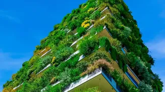 How Vertical Rain Shields Keep Urban Balcony Plants Healthy During Monsoonal Downpours