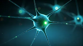 Printed Artificial Neurons: Mimicking Brain Signals for Smarter Tech and Better Implants
