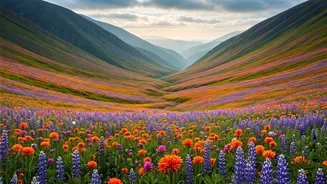 Uttarakhand’s Floral Window Is A Bucket-List Countdown