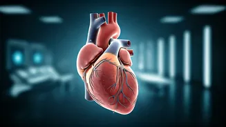 Cardiac Myosin Inhibitor Shows Promise in Young Hearts: Scout-HCM Trial Success