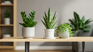 Low-Maintenance Greens Are The No-Drama Room Fix
