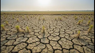 Goa's Weak Monsoon Spell: The Case for More Attention to Rain Deficits