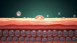 Skin Barrier Care Is Monsoon's Biggest Trend