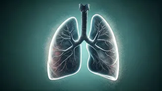 Setting Spray Secrets: Doctor Warns of Lung Risks from Inhaling Makeup Mists