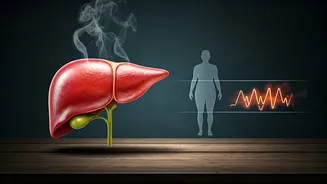 Lancet's Warning: 3 Top Risks Fueling Global Liver Disease Surge to 1.8 Billion by 2050