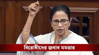 WB Assembly: ‘আমরা কোর্টেও জিতি, ভোটেও জিতি’, বিধানসভায় বিরোধীদের সরাসরি বার্তা দিলেন মমতা