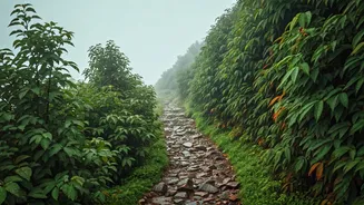 Mount Abu Gets Romantic As Monsoon Travel Rises