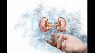 World Kidney Day 2026: How Kidney Disease Often Goes Undiagnosed Until It’s Too Late