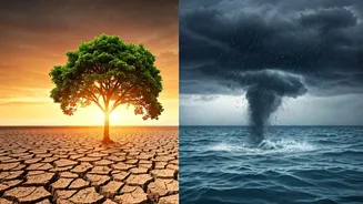 Know Climate, Shape The Future
