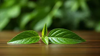 Bhringraj: The Ayurvedic Secret for Gorgeous Hair