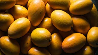 The Ultimate Delhi Mango Festival Checklist For Extreme Foodies
