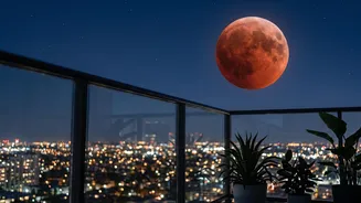 What Indian Families Can Learn From The Upcoming Lunar Eclipse