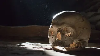 A origem da pandemia que devastou cidade há 1.500 anos