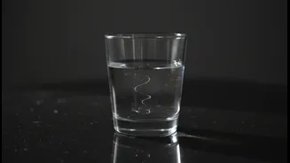 Why Households Overlook Daily Disinfection Routines When Water Appears Perfectly Clear And Odourless