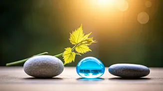 Related Stories banner