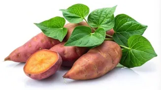 Sweet potato leaves: A hidden nutritional powerhouse