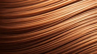 Copper Hair: Your 2025 Guide to Fiery Style