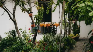 5 simple ways to make your home office eco-friendly