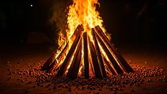 Lohri: A Deep Dive into the Harvest Festival