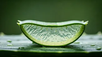 Unlock Radiant Skin: 5 Simple Fresh Aloe Vera Home Remedies for a Natural Glow
