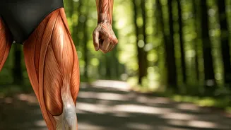 Daily 5K Run: Can You Build Muscle?