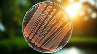 Kerala's Search for a State Bacterium: A New Scientific Frontier