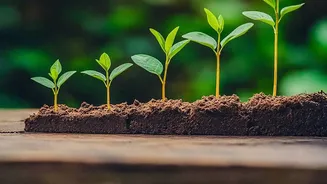 How Small ₹500 Weekly Investments In Index Funds Build Solid Wealth