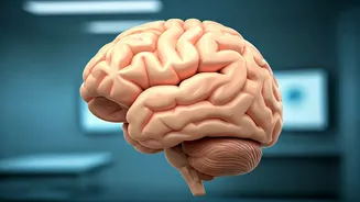 Neurologist Reveals Secrets to a Longer Life