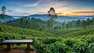 Value For Money Honeymoons Trend High Across Coorg Retreats