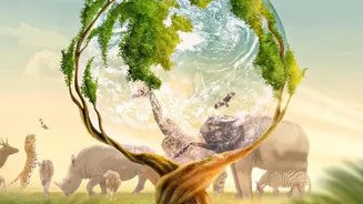 El Niño and Indian Rainfall: The Key Facts From India