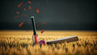 Union Budget 2026: The Trending Commodities and Their Impact