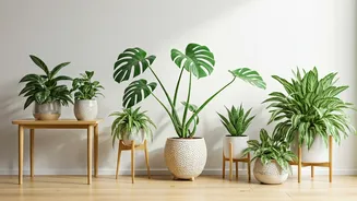 Indoor Plants Are The Decor Trend That Works