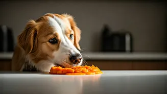 Craft Frozen Enrichment Toys With Pumpkin Puree For Dogs