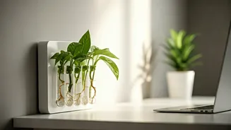Aesthetic Workspaces Trend Vertical Propagation Using Magnetic Test Tubes
