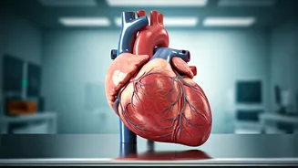 Related Stories banner