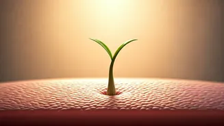 Alopecia Areata: Natural Remedies to Revitalize Bald Spots in Women