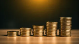 High FD Rates: Maximizing Returns on Savings in India