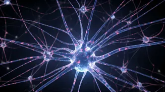 10 Brain Workouts: Sharpen Your Memory Daily