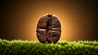 Your Daily Brew: Decoding Coffee's Impact on Your Skin - Good, Bad, and Beautiful