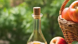 Vinegar Pre-Loads Dampen Carbohydrate Absorption Rates To Prevent Sudden Post-Meal Glucose Elevation
