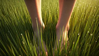 Improve Posture Easily With Post Workout Barefoot Grass Walk Sessions