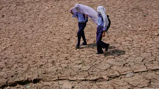 Terra caminha para recordes de calor nos próximos 5 anos