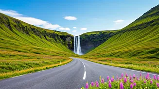 Related Stories banner