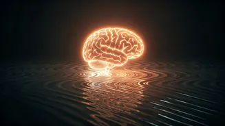 Unlock Enhanced Memory: Just 20 Minutes of Exercise Ignites Brain 'Ripples'