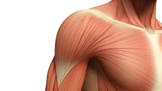 5 Shoulder Pain Relief Exercises: Simple Solutions