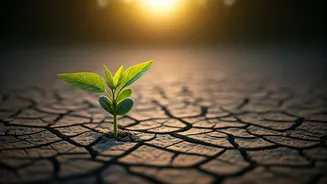 Reclaim Your Energy: 5 Proven Strategies to Conquer Burnout