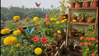 Local Plant Advice Can Help Match Balcony Blooms To Nearby Pollinator Species
